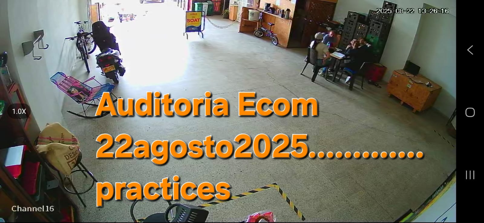 Carcafe 2